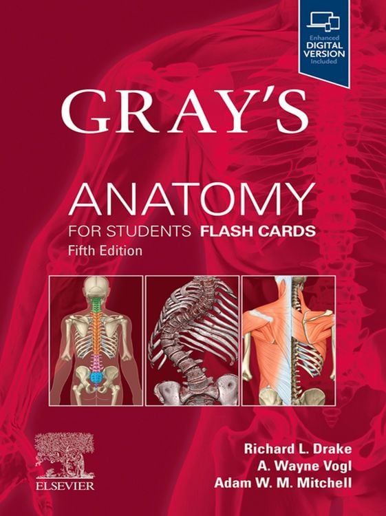 Produktbild: Gray's Anatomy for Students Flash Cards E-Book