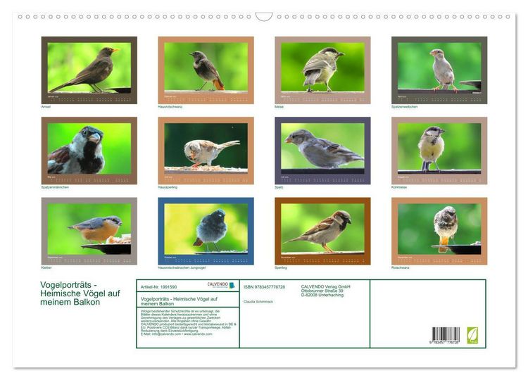 Produktbild: Vogelportr&auml;ts - Heimische V&ouml;gel auf meinem Balkon (Wandkalender 2026 DIN A2 quer), CALVENDO Monatskalender