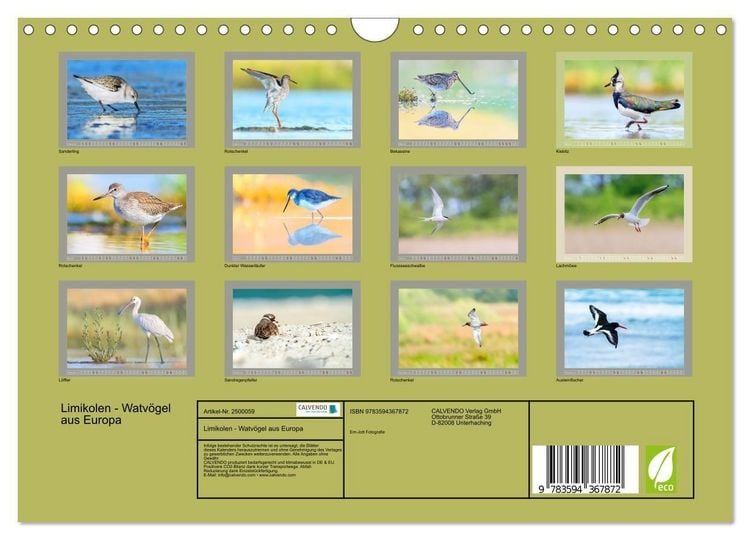 Produktbild: Limikolen - Watv&ouml;gel aus Europa (Wandkalender 2027 DIN A4 quer), CALVENDO Monatskalender