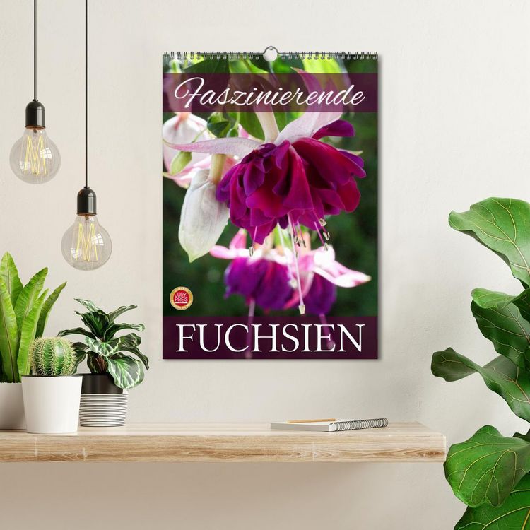 Produktbild: Faszinierende Fuchsien (Wandkalender 2026 DIN A3 hoch), CALVENDO Monatskalender