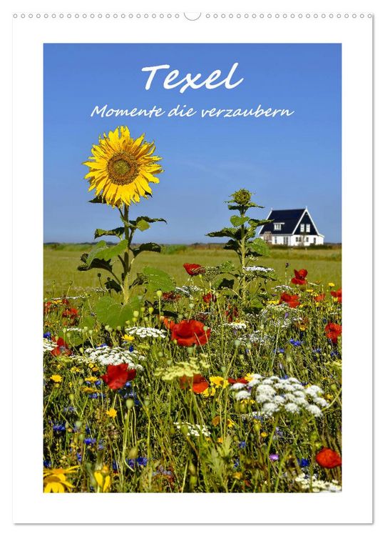 Produktbild: Texel - Momente die verzaubern (Wandkalender 2026 DIN A2 hoch), CALVENDO Monatskalender