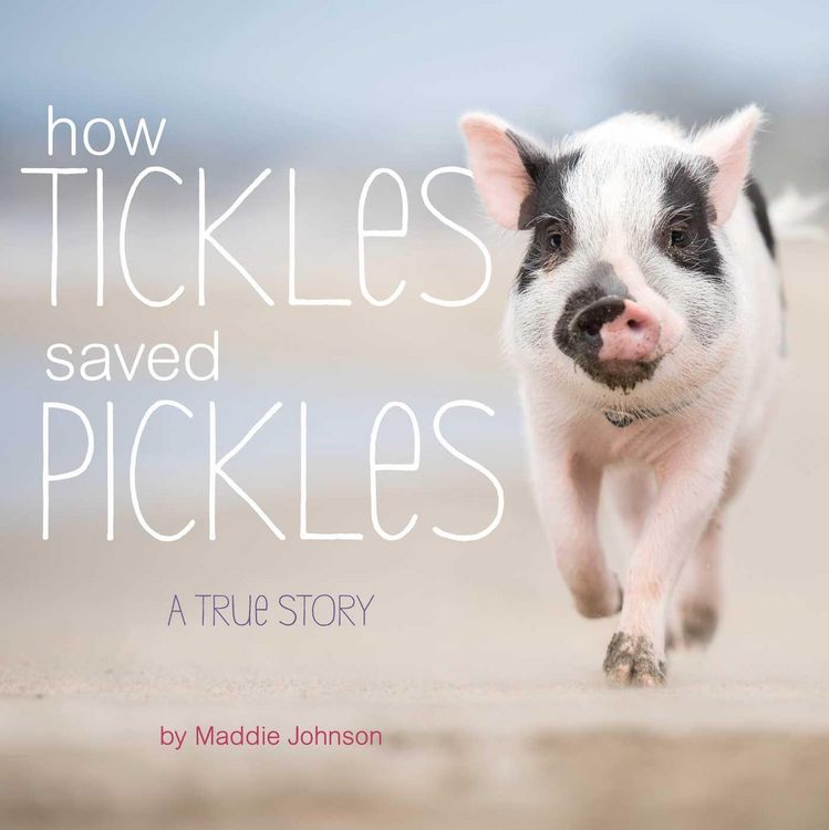 Produktbild: How Tickles Saved Pickles
