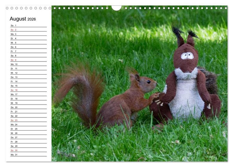 Produktbild: Mit dem Eichh&ouml;rnchen durchs Jahr (Wandkalender 2026 DIN A3 quer), CALVENDO Monatskalender