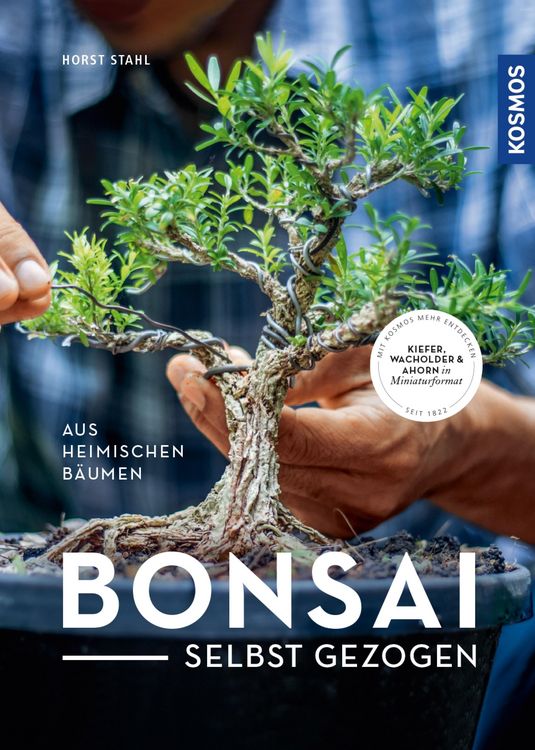 Produktbild: Bonsai selbst gezogen