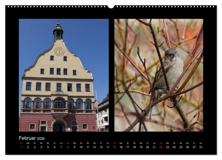 Produktbild: Ulmer Spatzen (Wandkalender 2026 DIN A2 quer), CALVENDO Monatskalender
