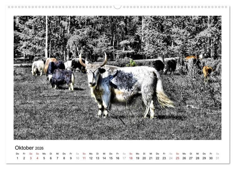 Produktbild: Mongolei &ndash; Mit anderen Augen (hochwertiger Premium Wandkalender 2026 DIN A2 quer), Kunstdruck in Hochglanz