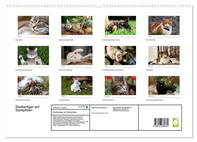 Produktbild: Stra&szlig;entiger auf Samtpfoten (hochwertiger Premium Wandkalender 2026 DIN A2 quer), Kunstdruck in Hochglanz