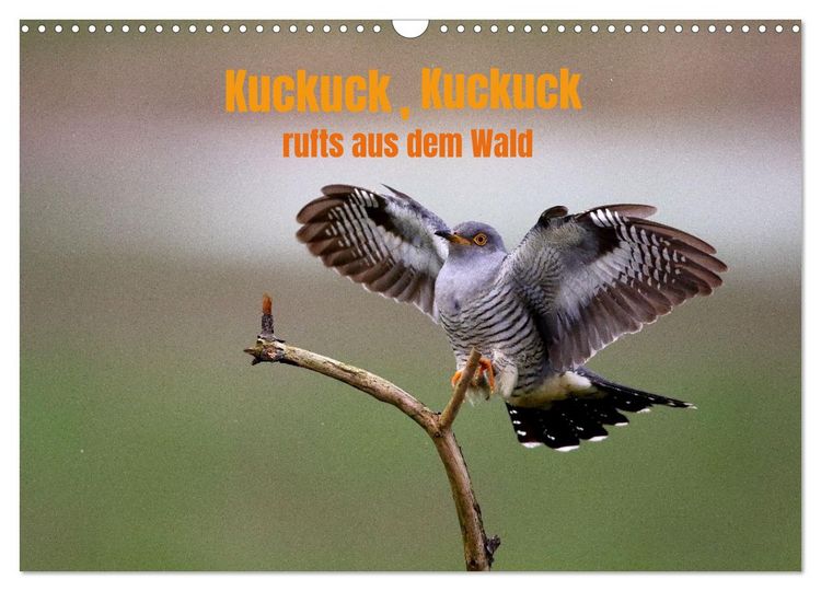 Produktbild: Kuckuck,Kuckuck,rufts aus dem Wald (Wandkalender 2026 DIN A3 quer), CALVENDO Monatskalender