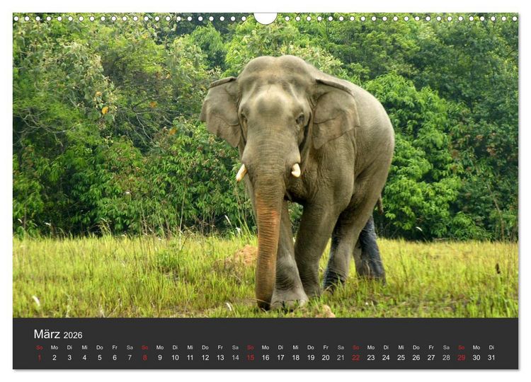 Produktbild: Thailand - exotisch und faszinierend (Wandkalender 2026 DIN A3 quer), CALVENDO Monatskalender