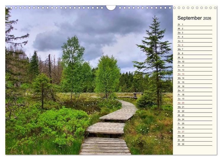 Produktbild: Der Harz - Sch&ouml;nstes Mittelgebirge Deutschlands (Wandkalender 2026 DIN A3 quer), CALVENDO Monatskalender
