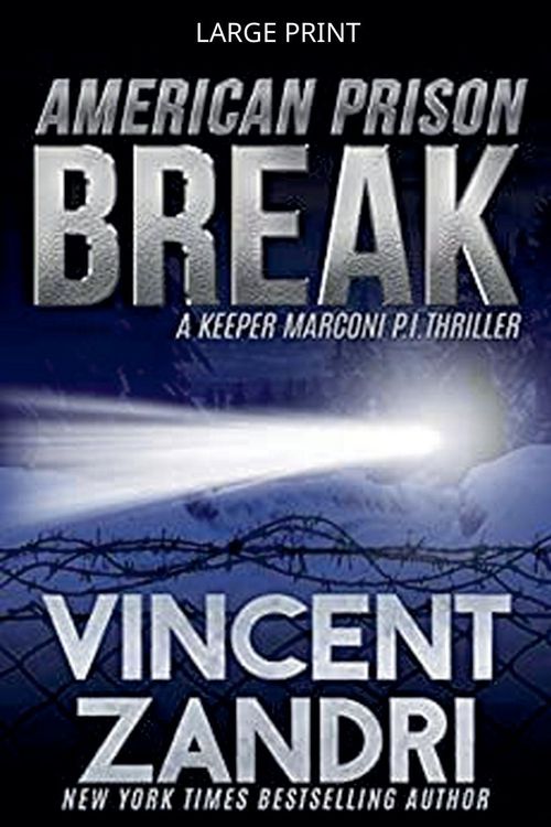 Produktbild: American Prison Break