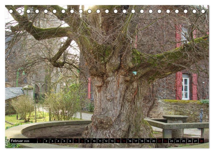 Produktbild: Dorflinden (Tischkalender 2026 DIN A5 quer), CALVENDO Monatskalender