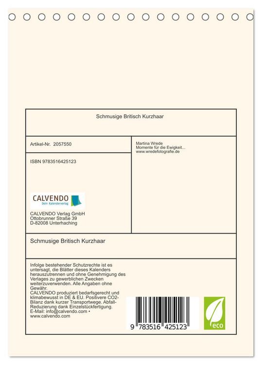 Produktbild: Schmusige Britisch Kurzhaar (Tischkalender 2026 DIN A5 hoch), CALVENDO Monatskalender