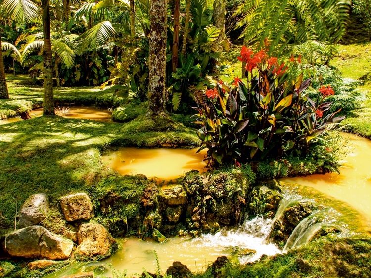 Produktbild: CALVENDO Puzzle Parque Terra Nostra | 1000 Teile Lege-Gr&ouml;&szlig;e 64x48cm Foto-Puzzle f&uuml;r gl&uuml;ckliche Stunden