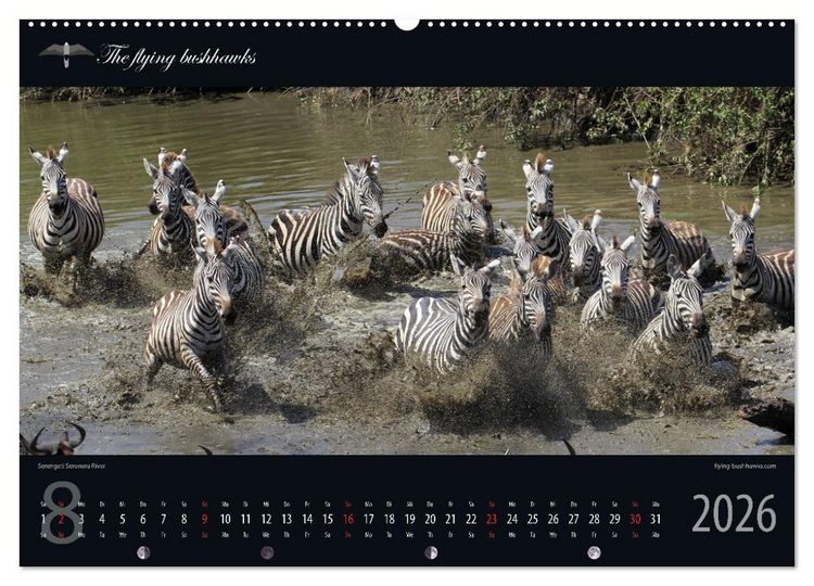 Produktbild: Tansania Blickwinkel 2026 (Wandkalender 2026 DIN A2 quer), CALVENDO Monatskalender