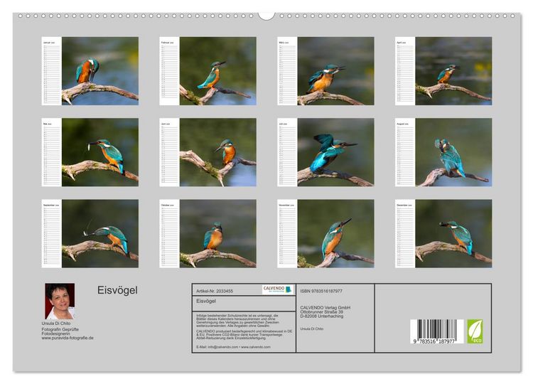 Produktbild: Eisv&ouml;gel (hochwertiger Premium Wandkalender 2026 DIN A2 quer), Kunstdruck in Hochglanz