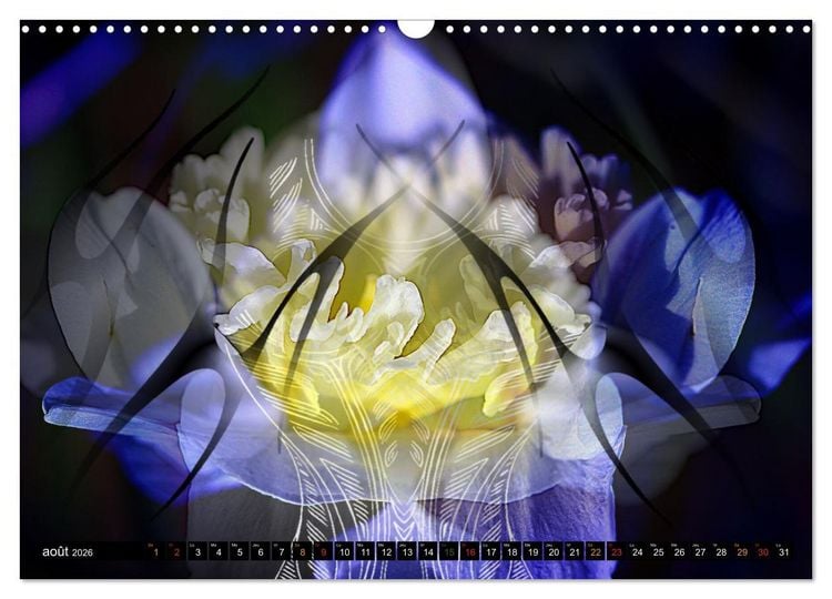 Produktbild: Bouquet d'un jour, bouquet pour toujours (Calendrier mural 2026 DIN A3 vertical), CALVENDO calendrier mensuel
