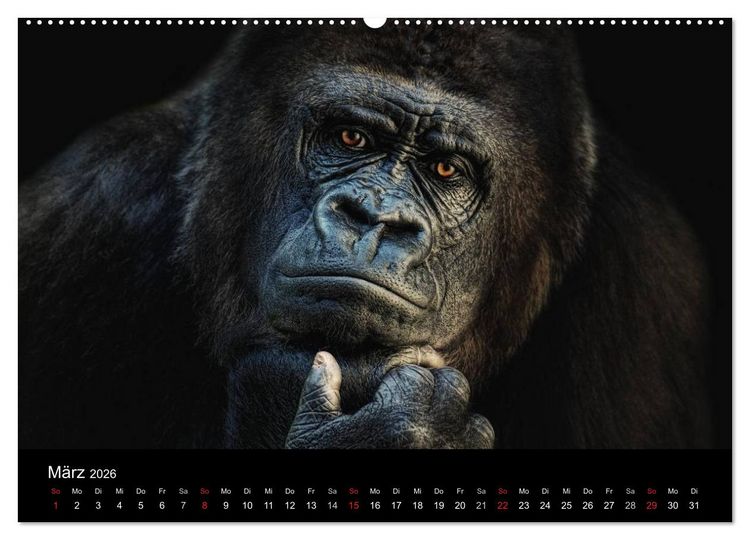 Produktbild: Tierisches (Wandkalender 2026 DIN A2 quer), CALVENDO Monatskalender