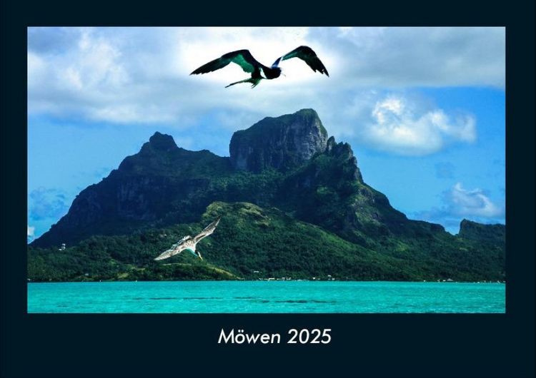 Produktbild: M&ouml;wen 2025 Fotokalender DIN A4