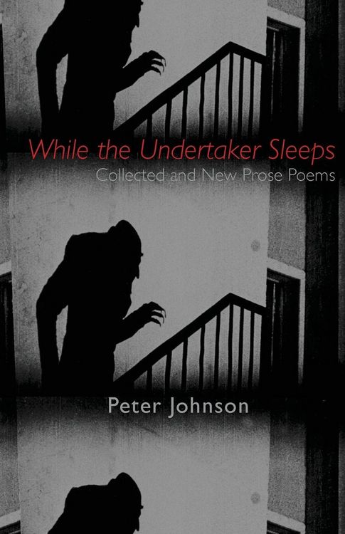 Produktbild: While the Undertaker Sleeps