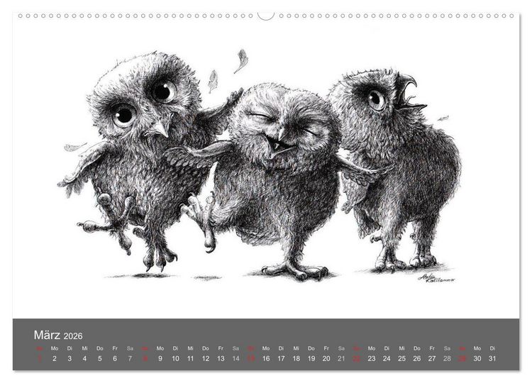 Produktbild: owls & friends 2026 (hochwertiger Premium Wandkalender 2026 DIN A2 quer), Kunstdruck in Hochglanz