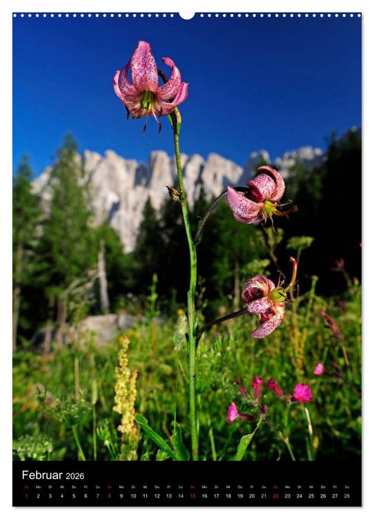 Produktbild: WILDBLUMEN (Wandkalender 2026 DIN A2 hoch), CALVENDO Monatskalender