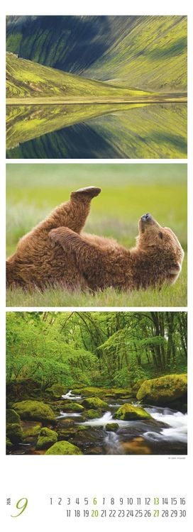Produktbild: Colours of Nature - Triplets 2026 - Streifenkalender XXL 25x69 cm - Bildkalender im Hochformat - Naturkalender - Wandkalender - Wandplaner