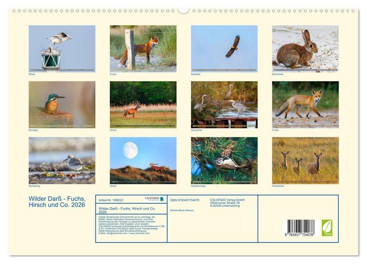 Produktbild: Wilder Dar&szlig; - Fuchs, Hirsch und Co. 2026 (hochwertiger Premium Wandkalender 2026 DIN A2 quer), Kunstdruck in Hochglanz