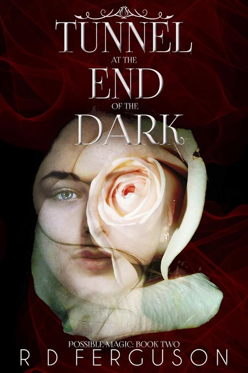 Produktbild: Tunnel at the End of the Dark (Possible Magic, #2)