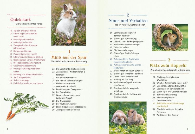 Produktbild: Liebenswerte Zwergkaninchen