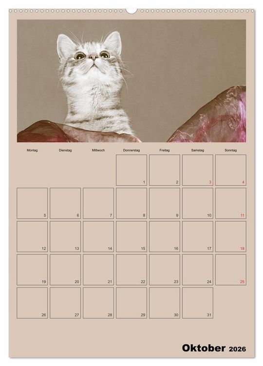 Produktbild: Mit Katzen durchs Jahr / Planer (hochwertiger Premium Wandkalender 2026 DIN A2 hoch), Kunstdruck in Hochglanz