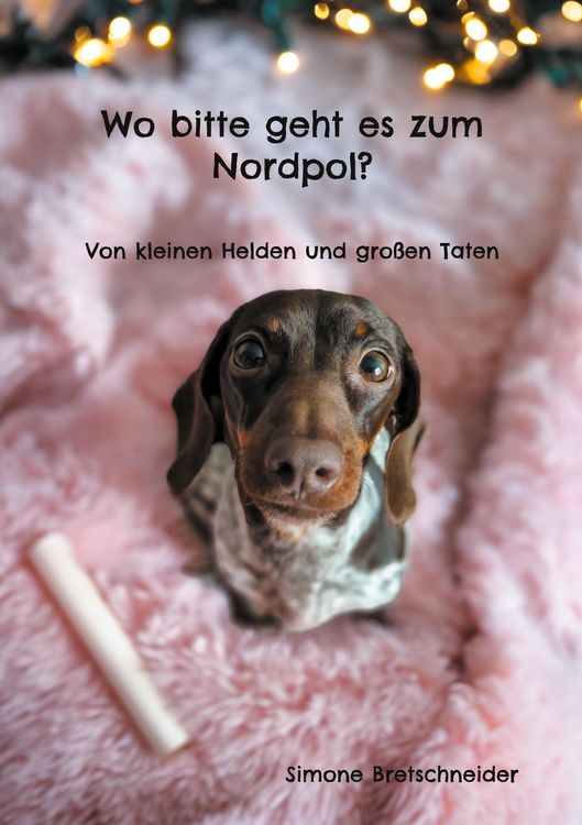 Produktbild: Wo bitte geht es zum Nordpol?