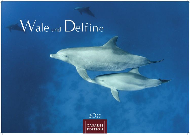 Produktbild: Wale und Delfine Kalender 2027 &ndash; Wandkalender | Fotokalender Tierkalender 35x50cm Grosses Format - Hochwertige Fotografien von Walen und Delfinen, die jeden Monat begeistern.