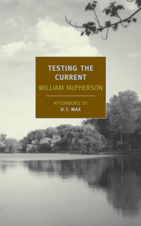 Produktbild: Testing the Current