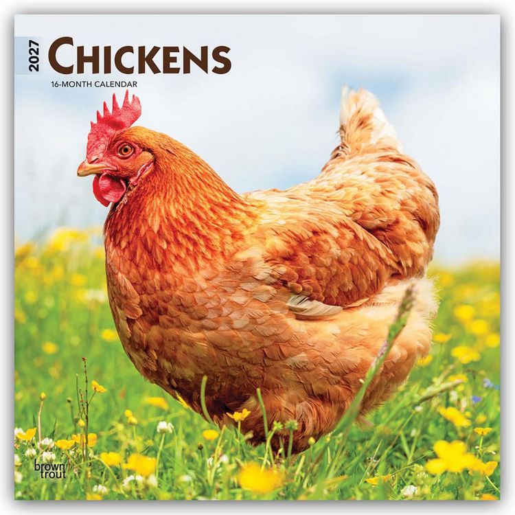 Produktbild: Chickens &ndash; H&uuml;hner 2027 &ndash; 16-Monatskalender