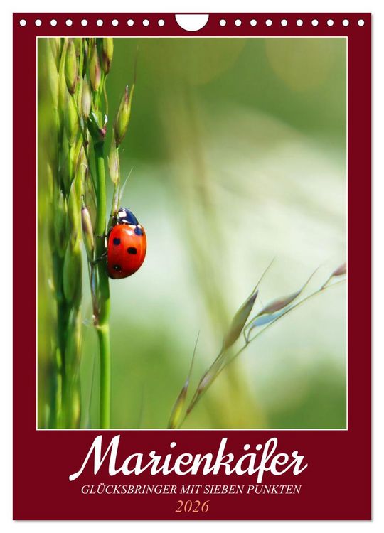 Produktbild: Marienk&auml;fer, Gl&uuml;cksbringer mit sieben Punkten (Wandkalender 2026 DIN A4 hoch), CALVENDO Monatskalender