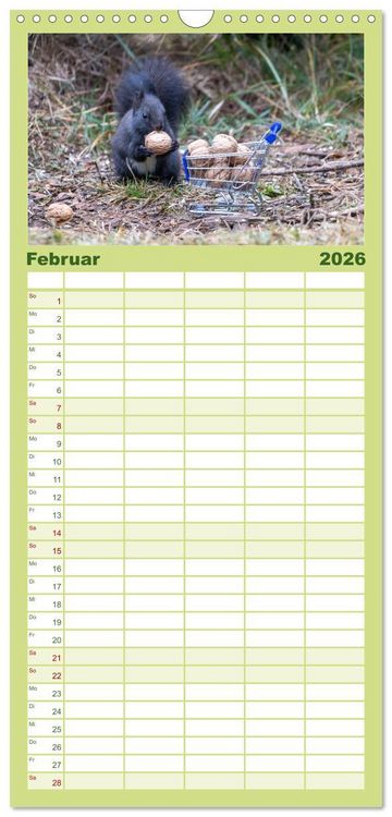Produktbild: Familienplaner 2026 - Eichh&ouml;rnchenliebe mit 5 Spalten (Wandkalender, 21 x 45 cm) CALVENDO