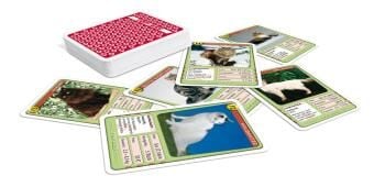 Produktbild: TOP ASS - Katzen