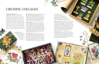 Produktbild: Botanical Art to Cut out and Collage