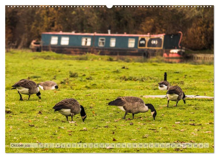 Produktbild: Narrow Boating auf dem Grand Union Canal (hochwertiger Premium Wandkalender 2026 DIN A2 quer), Kunstdruck in Hochglanz