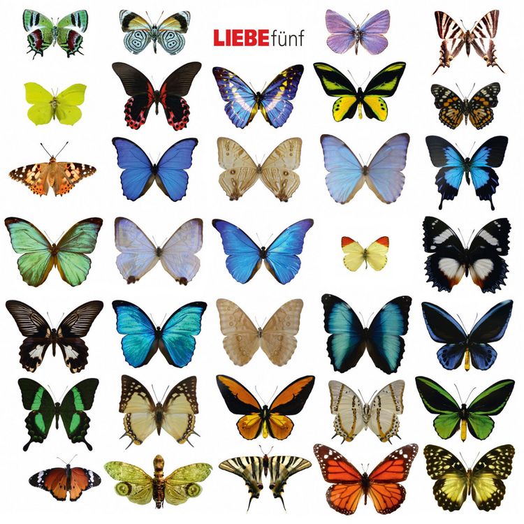 Produktbild: Liebe f&uuml;nf