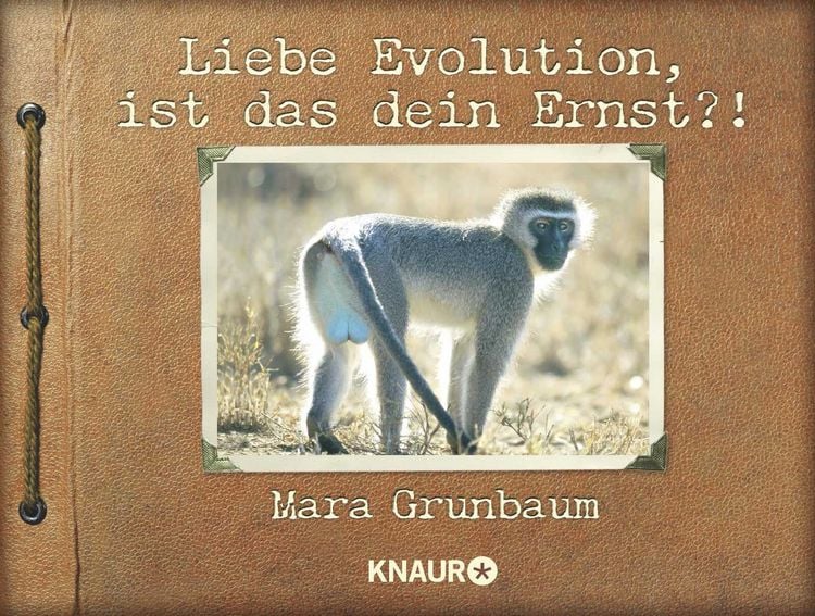 Produktbild: Liebe Evolution, ist das dein Ernst?!