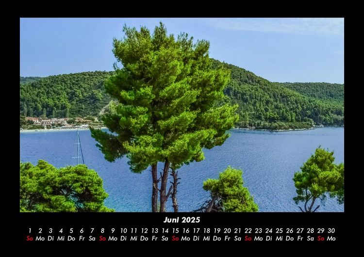 Produktbild: B&auml;ume 2025 Fotokalender DIN A3