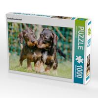 Produktbild: CALVENDO Puzzle Dackelfreundschaft 1000 Teile Lege-Gr&ouml;&szlig;e 64 x 48 cm Foto-Puzzle Bild von Barbara Mielewczyk