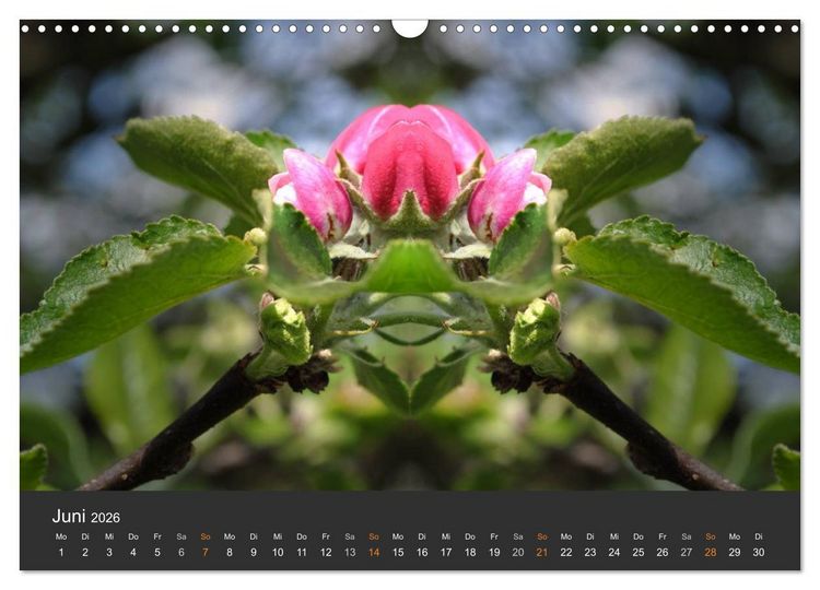 Produktbild: Spiegelwelten - Im Reich der Naturwesen (Wandkalender 2026 DIN A3 quer), CALVENDO Monatskalender