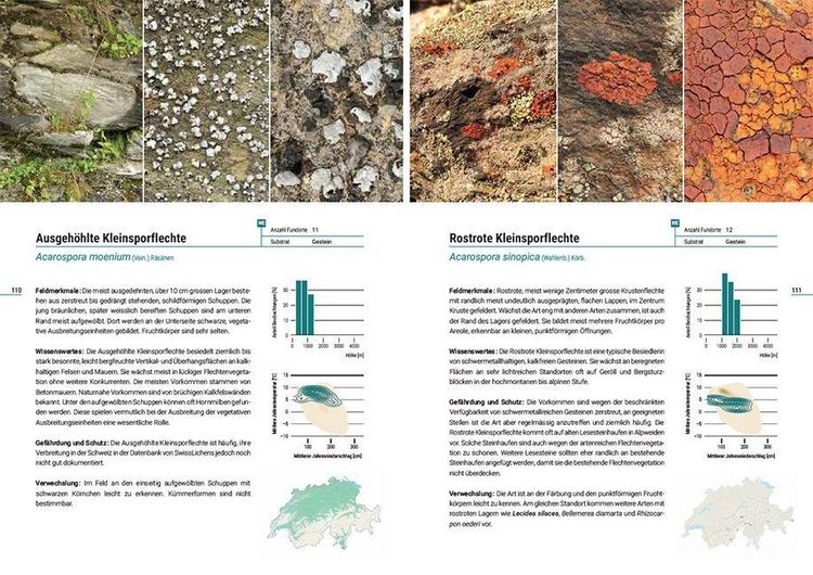 Produktbild: Flechten der Schweiz