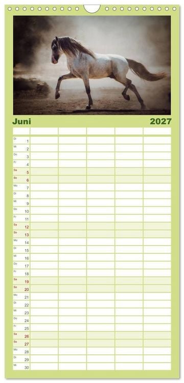 Produktbild: Familienplaner 2027 - Die Faszinierende Welt der Pferde mit 5 Spalten (Wandkalender, 21 x 45 cm) CALVENDO