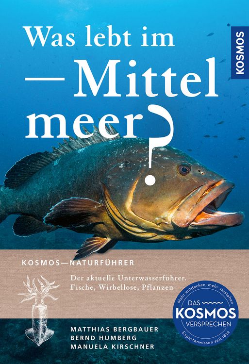 Produktbild: Was lebt im Mittelmeer?