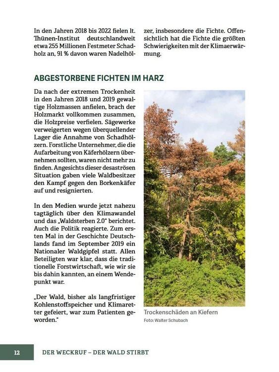 Produktbild: Wald im Wandel
