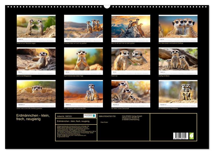 Produktbild: Erdm&auml;nnchen - klein, frech, neugierig (Wandkalender 2026 DIN A2 quer), CALVENDO Monatskalender